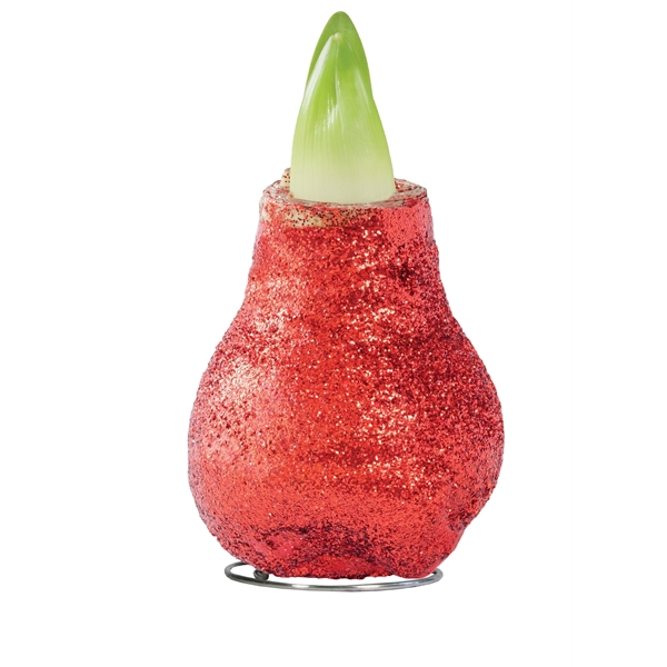 <h4>Amaryllis Touch of Wax Magic Red 6x1, rode bloem, Tray236</h4>