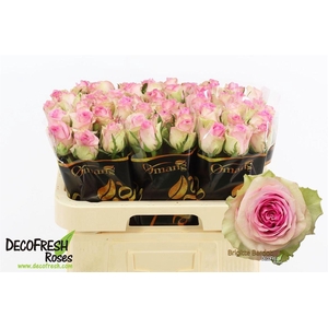 R Gr Brigitte Bardot