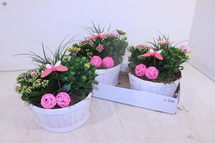 <h4>ARR TUINPLANTEN</h4>