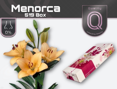 <h4>LI LA MENORCA 520 BOX 5+</h4>