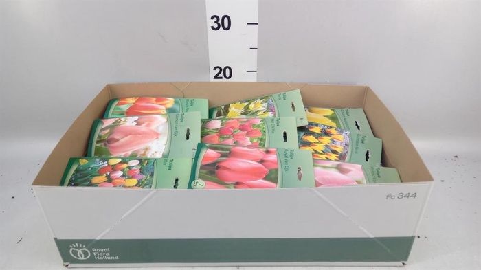 <h4>Flowerbulbs, corns or tubers   ...</h4>