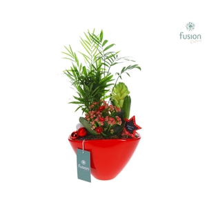 Keramiek ovaal Medium met Kerst Arrangement