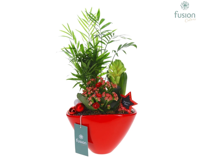 <h4>Keramiek ovaal Medium met Kerst Arrangement</h4>