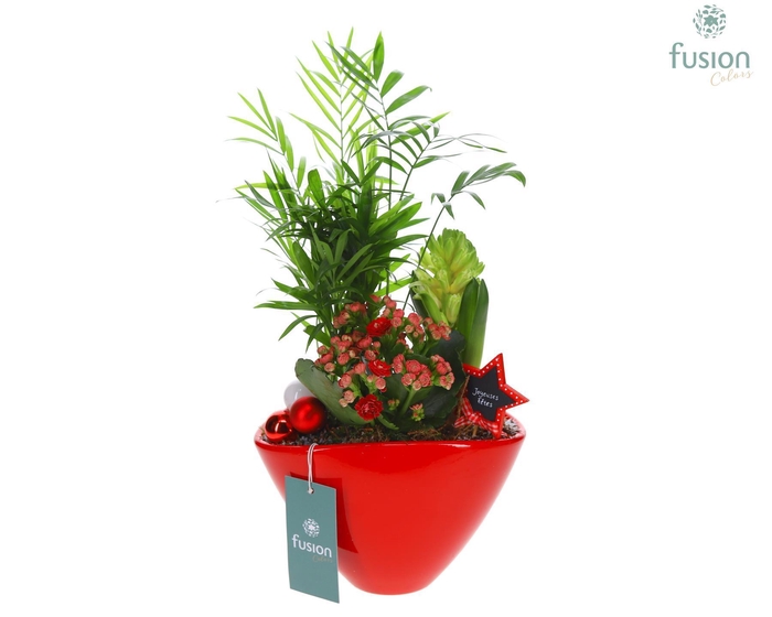 <h4>Keramiek ovaal Medium met Kerst Arrangement</h4>