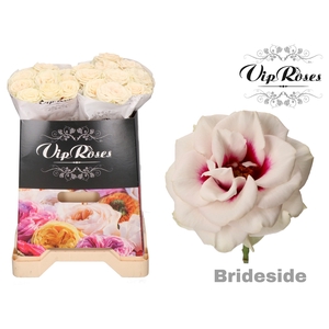 R GR BRIDESIDE!