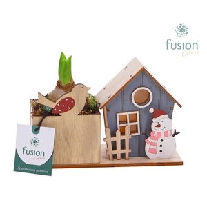 Kerst planter hout met verlichting met Hyacinthus