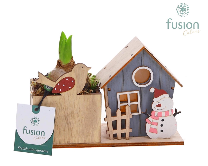 <h4>Kerst planter hout met verlichting met Hyacinthus</h4>