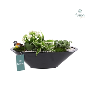 Schaal zink antraciet met Arrangement