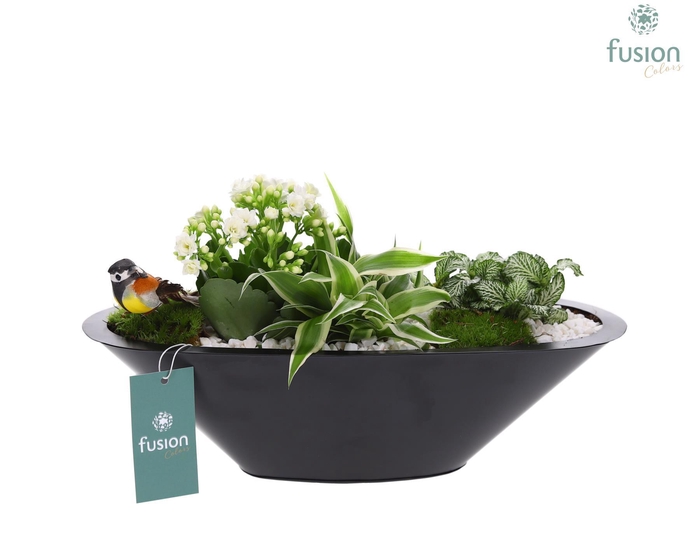<h4>Schaal zink antraciet met Arrangement</h4>