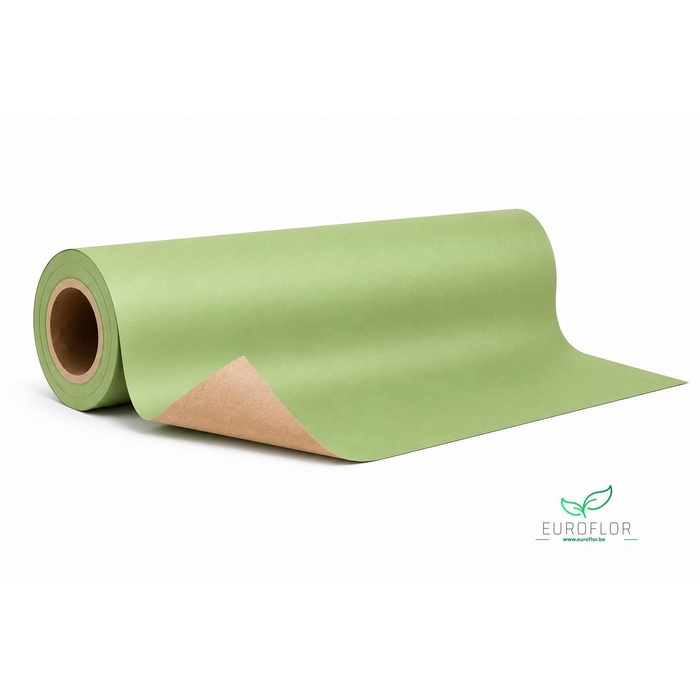 <h4>KRAFTPAPIER 10KG 50CM 50GR PASTEL GREEN</h4>