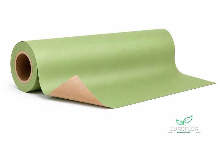 KRAFTPAPIER 10KG 50CM 50GR PASTEL GREEN