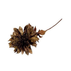 Stem Dahlia Grande L55