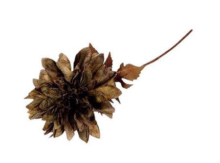 <h4>Stem Dahlia Grande L55</h4>