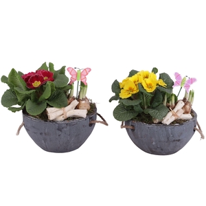 Early Spring Arr. Outdoor Ceramic Pot with Rope Handle Ø20cm 2PP