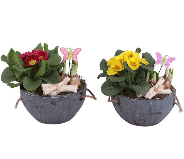 <h4>Early Spring Arr. Outdoor Ceramic Pot with Rope Handle Ø20cm 2PP</h4>