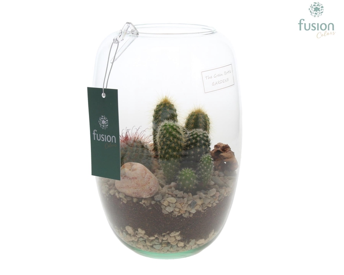 <h4>Green Bottle Isabella Small met Cactussen</h4>
