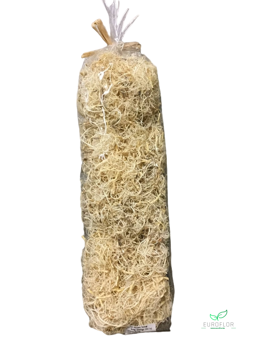 CURLY MOSS 200GR BLEACHED