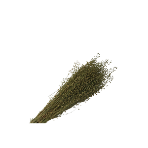 Lepidium Green Natural