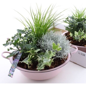 ARR TUINPLANTEN