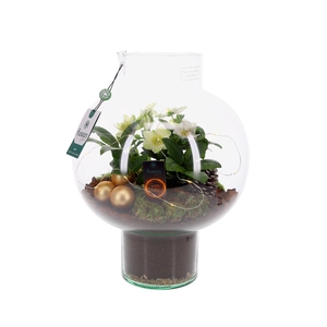 Green Bottle Laura Large met Kerst arrangement met LED