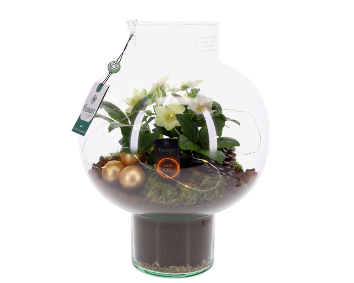 <h4>Green Bottle Laura Large met Kerst arrangement met LED</h4>