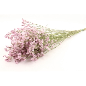 Bunch Limonium Diamond Slv 50g L60