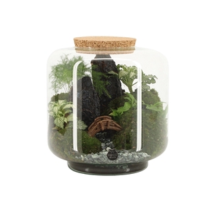 90771: Landscape terrarium arrangement