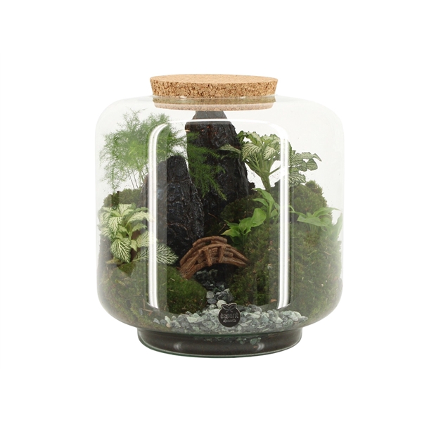 <h4>90771: Landscape terrarium arrangement</h4>