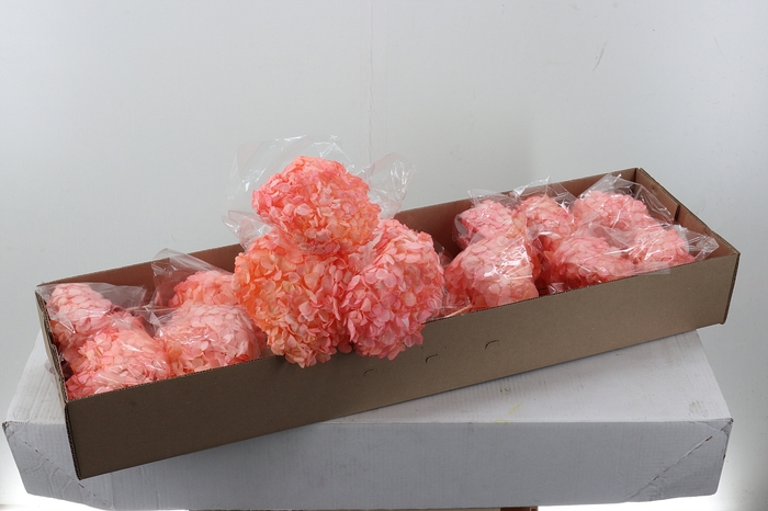 <h4>Hydr Preserved Cotton Premium</h4>