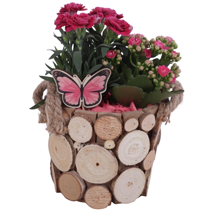 <h4>Spring Flower Arr. Outdoor Wooden Pot Round Tree Chucks Ø16cm2PP</h4>