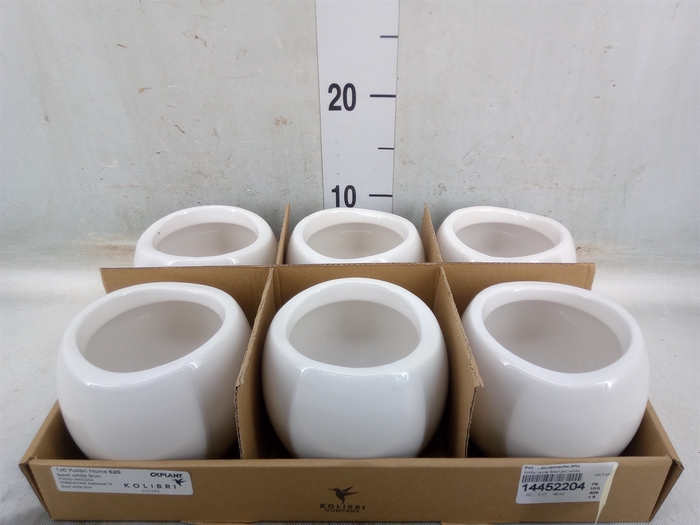 <h4>Pot   ...Keramische H%</h4>