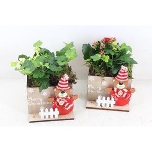 arr2 TD - Hout kist 4kant beertje