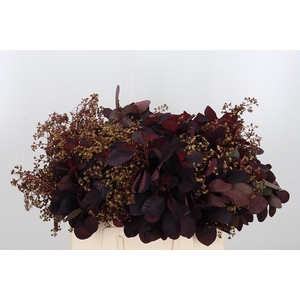 Cotinus Blad