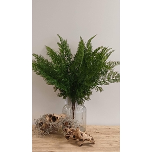 FERN BUSH GREEN GR110049GRN L40