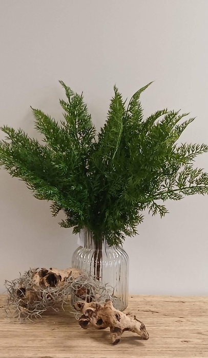 <h4>FERN BUSH GREEN GR110049GRN L40</h4>