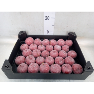 Decoratieve materialen   ...H%