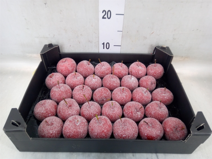 <h4>Decoratieve materialen   ...H%</h4>