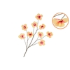 Silk Hibiscus Peach 125cm