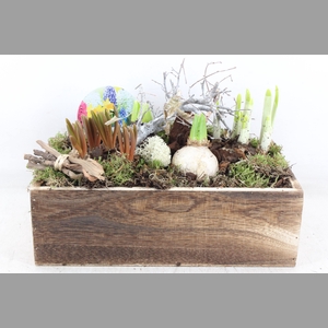 arr4 Bollenmix VL- Hout kist rechth. 338/2