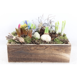 arr4 Bollenmix VL- Hout kist rechth. 338/2