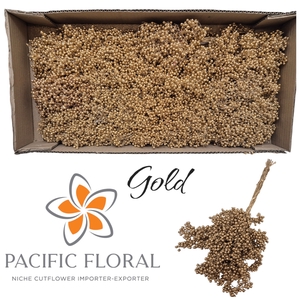 SCHINUS M DEC BES BS