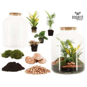 91043: DIY Terrarium arrangement