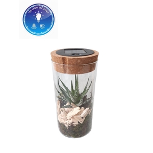 Arr.   Kamerplant Groen L%