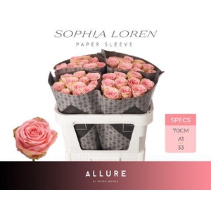 R GR SOPHIA LOREN ALLURE Allure Specials