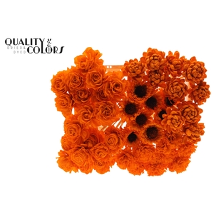 Shola Flower Mix on stem Orange