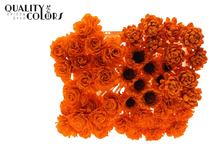 Shola Flower Mix on stem Orange