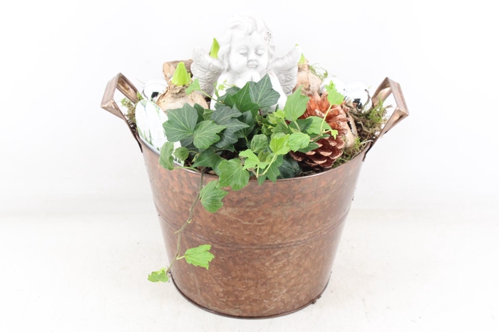 <h4>arr4 Hyacint VL - Zink emmer brons L x2</h4>