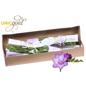 UG Barendse - Biscaya box