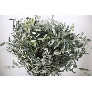 Olive 400gr P/b