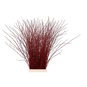 Berk 70cm Rood Pbs